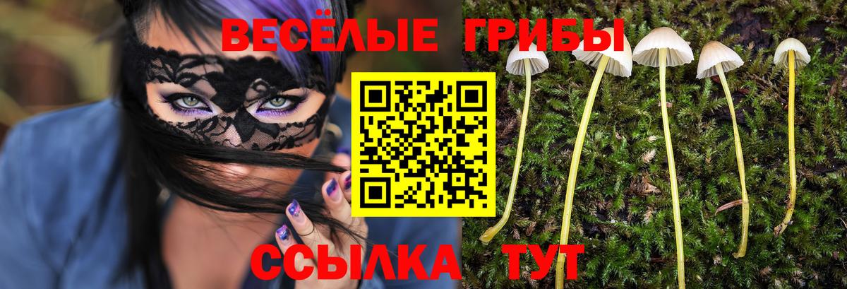 Псилоцибиновые грибы Magic Shrooms  Галлюциногенные грибы GOLDEN TEACHER  Вход с VPN  Сальск 