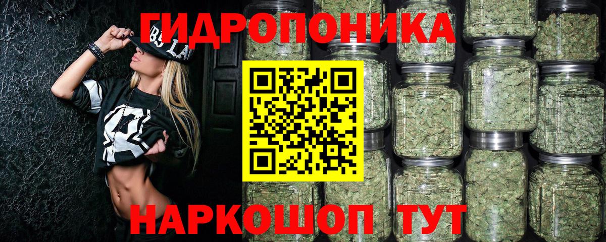 Шишки марихуана планчик Сальск